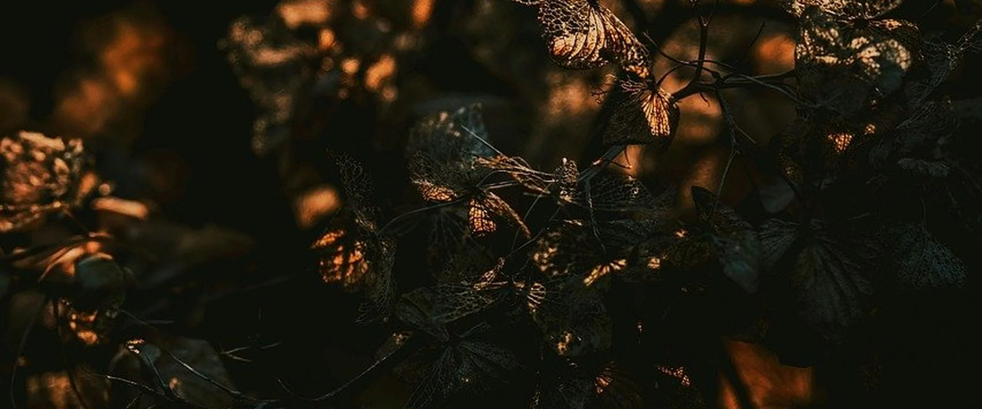 开元棋牌PG电子